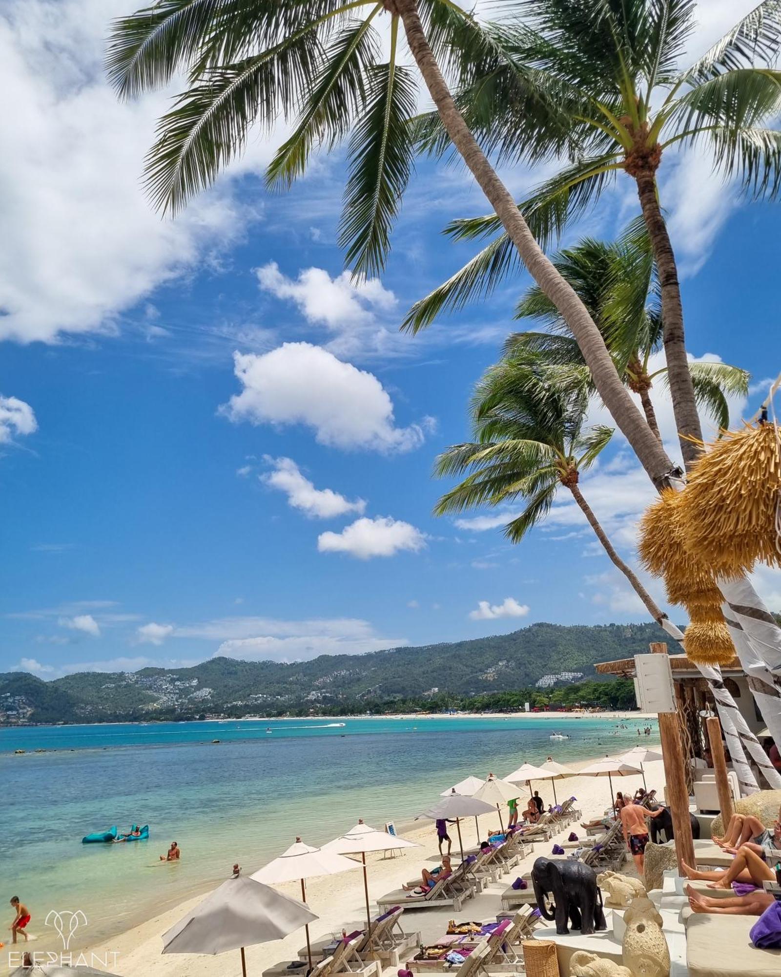 Elephant Club & Samui Resor
