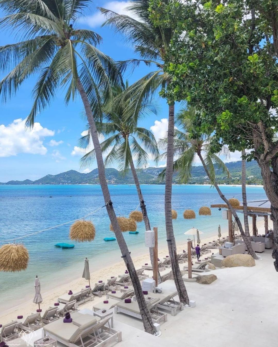 Tempat peranginan Elephant Club & Samui 4*