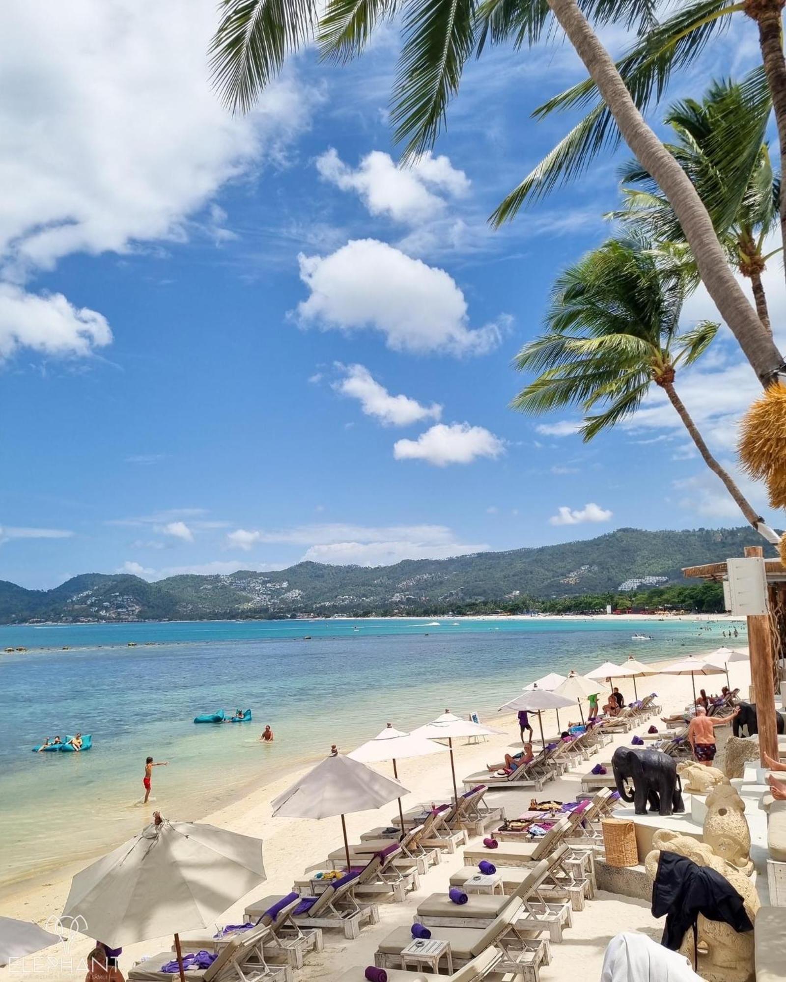 Tempat peranginan Elephant Club & Samui 4*