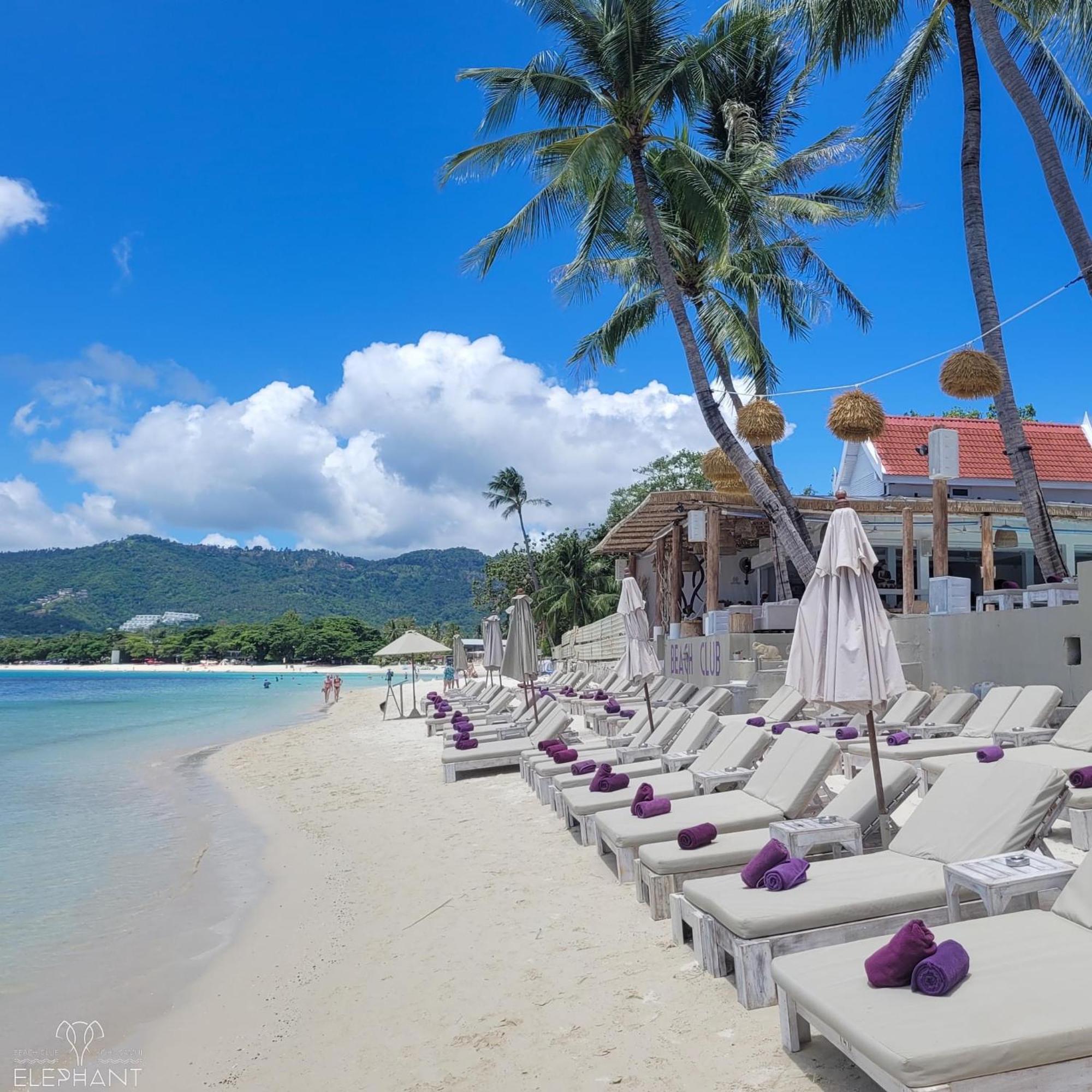 Elephant Club & Samui Tempat peranginan