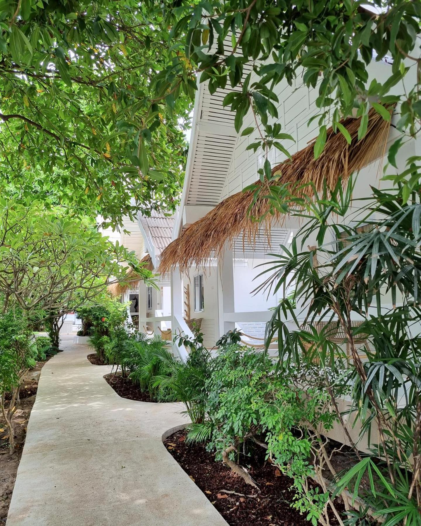 渡假村 Elephant Club & Samui 4*