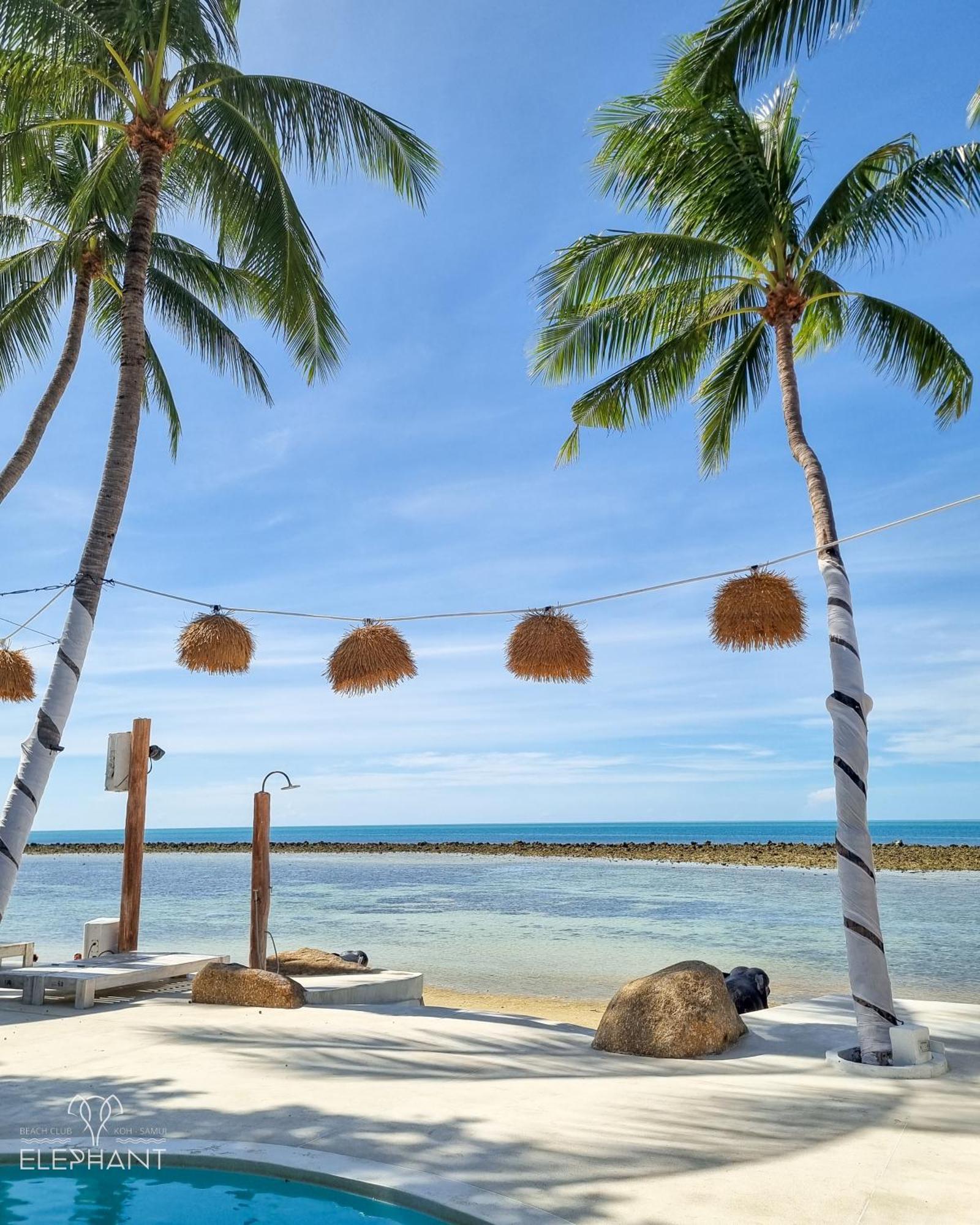 Elephant Club & Samui Tempat peranginan