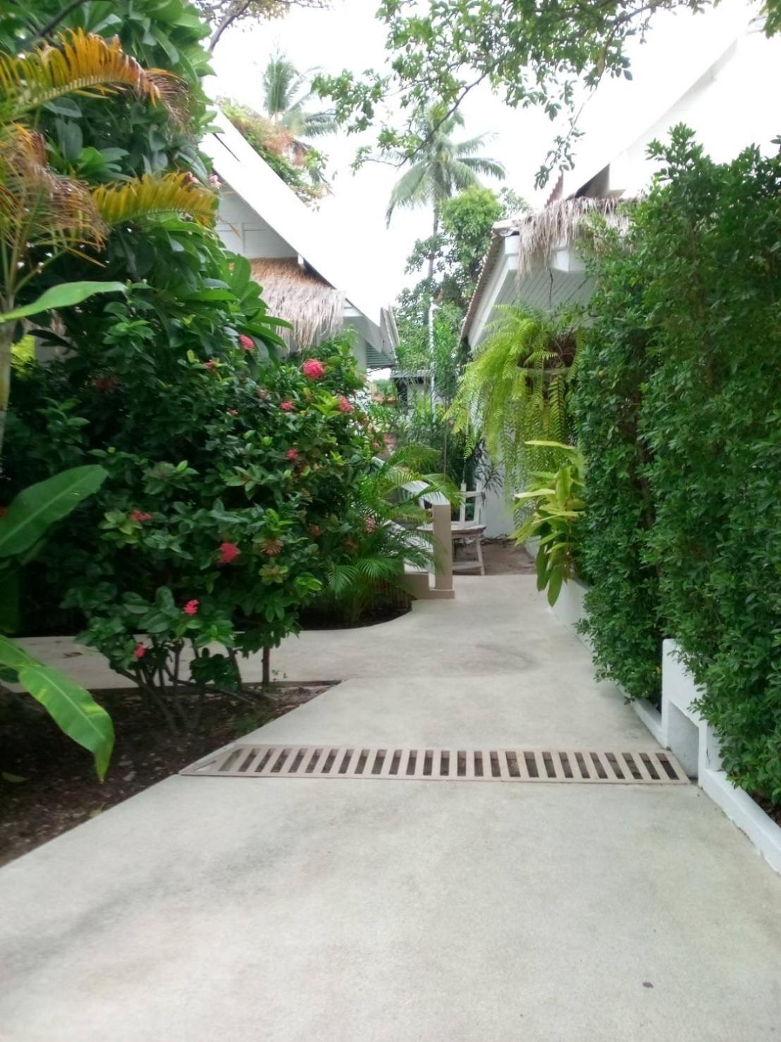 Elephant Club & Samui 渡假村